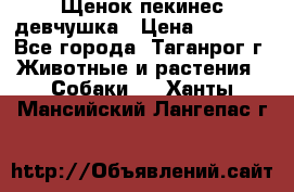 Щенок пекинес девчушка › Цена ­ 2 500 - Все города, Таганрог г. Животные и растения » Собаки   . Ханты-Мансийский,Лангепас г.